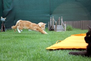 IMG_4554 (Medium).JPG