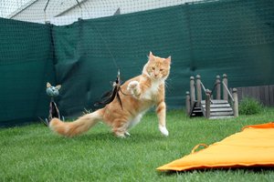 IMG_4570 (Medium).JPG