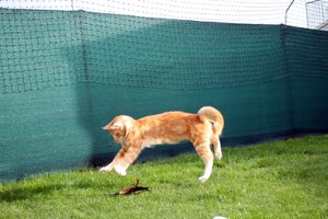 IMG_4582 (Medium).JPG