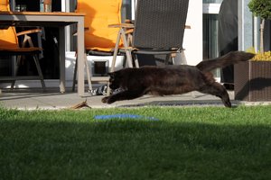 IMG_4605 (Medium).JPG