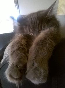 g pennt noch süsser.jpg