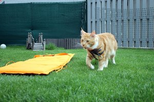 IMG_4469 (Medium).JPG