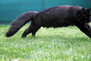 IMG_4489 (Medium).JPG