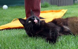 IMG_4507 (Medium).JPG