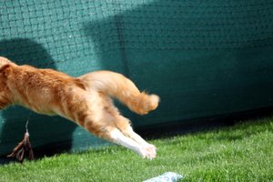 IMG_4535 (Medium).JPG