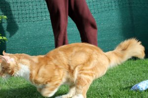 IMG_4546 (Medium).JPG