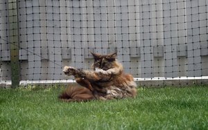 IMG_4558 (Medium).JPG