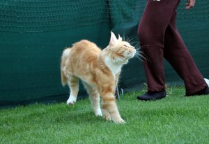 IMG_4563 (Medium).JPG