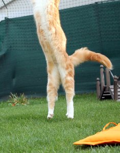 IMG_4572 (Medium).JPG