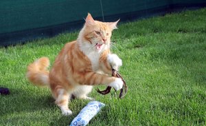 IMG_4588 (Medium).JPG