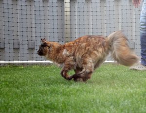 IMG_4594 (Medium).JPG