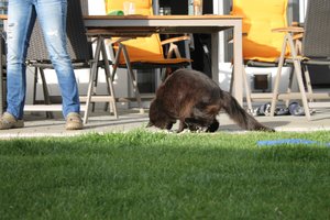 IMG_4606 (Medium).JPG