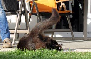 IMG_4607 (Medium).JPG