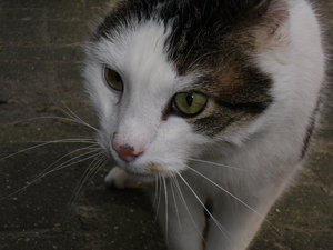 07. April 2013 005.JPG