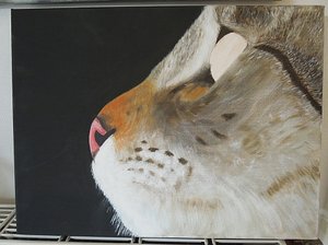 Werdegang Gizzi 11 - bea Inet.jpg