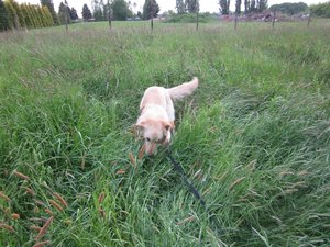 Fanta 17.05.2015 010.jpg