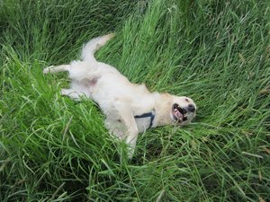 Fanta 17.05.2015 012.jpg