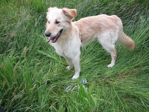 Fanta 17.05.2015 014.jpg