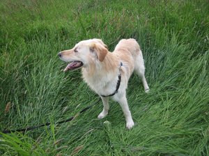 Fanta 17.05.2015 016.jpg