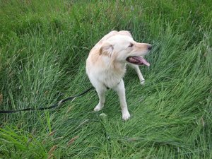 Fanta 17.05.2015 017.jpg