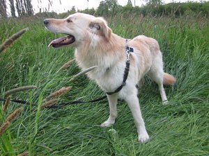 Fanta 17.05.2015 018.jpg