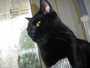 IMGP1116 (800x600).jpg