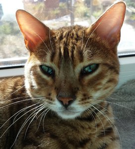 2015-03-09 15.42.10.jpg