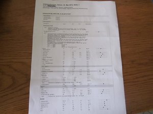 teich fanta blutuntersunung 003.jpg