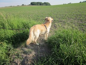 Fanta  pfingsten haus Dellwig etc 001.jpg