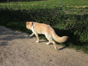 Fanta  pfingsten haus Dellwig etc 002.jpg