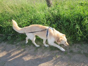 Fanta  pfingsten haus Dellwig etc 003.jpg