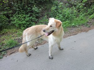 Fanta  pfingsten haus Dellwig etc 005.jpg