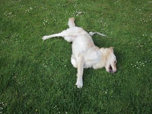 Fanta im Garten 004.jpg