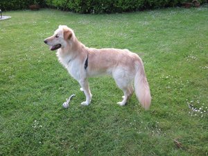 Fanta im Garten 006.jpg