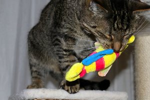 IMG_1155 (640x427).jpg