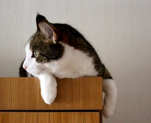 IMG_1174 (640x517).jpg