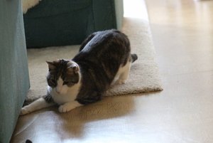 IMG_1239 (640x427).jpg