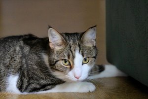 IMG_1248 (640x427).jpg