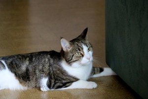 IMG_1249 (640x427).jpg