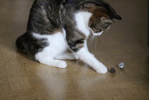 IMG_1250 (640x427).jpg