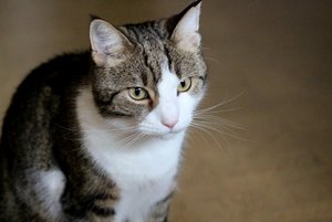 IMG_1253 (640x427).jpg