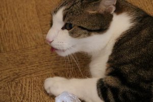 IMG_1286 (640x427).jpg