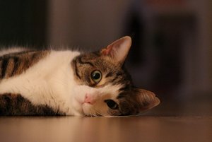 IMG_1320 (640x427).jpg