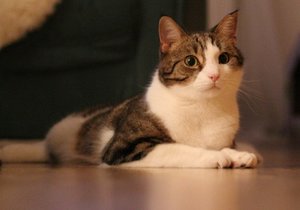 IMG_1330 (640x448).jpg