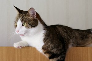 IMG_1347 (640x427).jpg