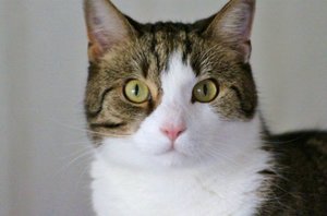 IMG_1351 (640x422).jpg