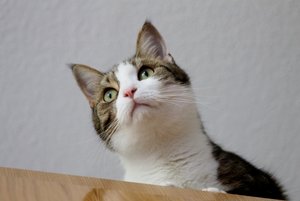 IMG_1360 (640x427).jpg