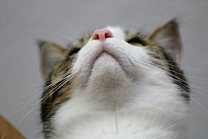 IMG_1362 (640x427).jpg