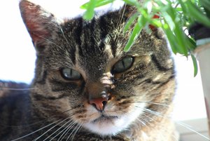 IMG_1369 (640x427).jpg