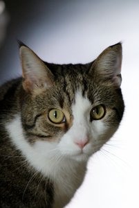 IMG_1372 (427x640).jpg